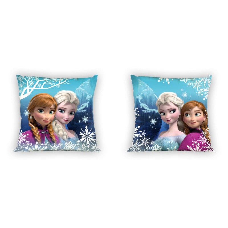 ΜΑΞΙΛΑΡΑΚΙΑ DISNEY FROZEN 93 40Χ40 Digital Print